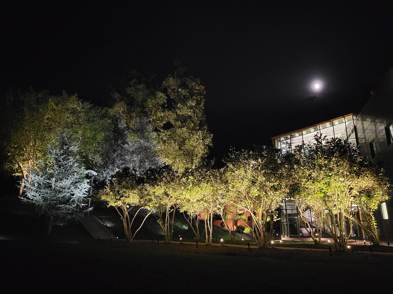 Landscape lighting in Wake Forest